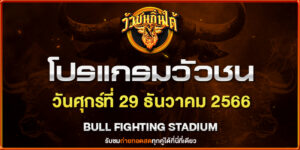 ชนวัวแดนใต้