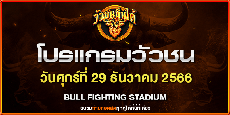 ชนวัวแดนใต้