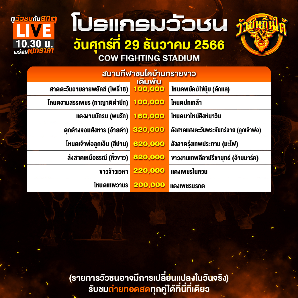 ชนวัวแดนใต้