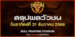 วัวชน ถ่ายทอดสด