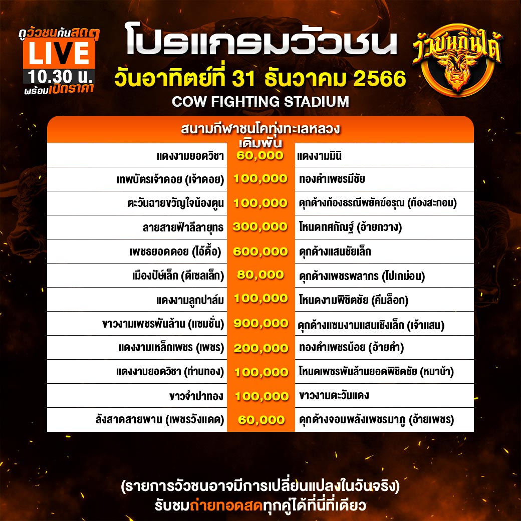 ราคา วัวชน