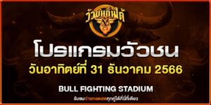 ราคา วัวชน