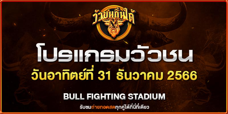 ราคา วัวชน