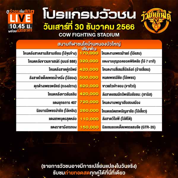 วัวชนวันนี้นานาชาติ