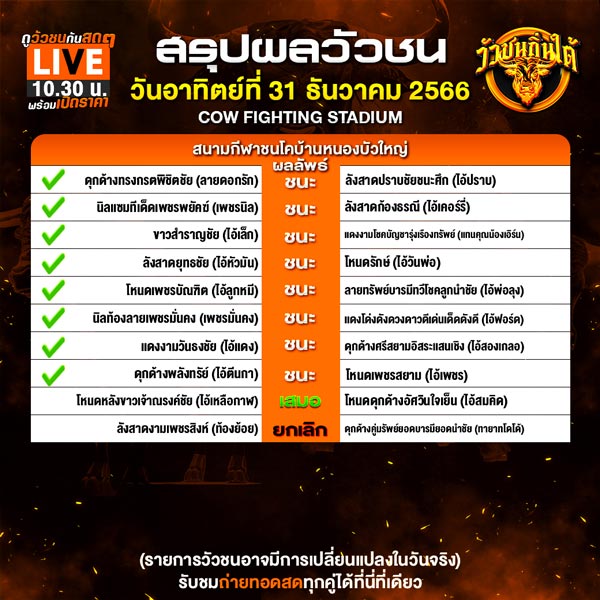 วัวชน ถ่ายทอดสด