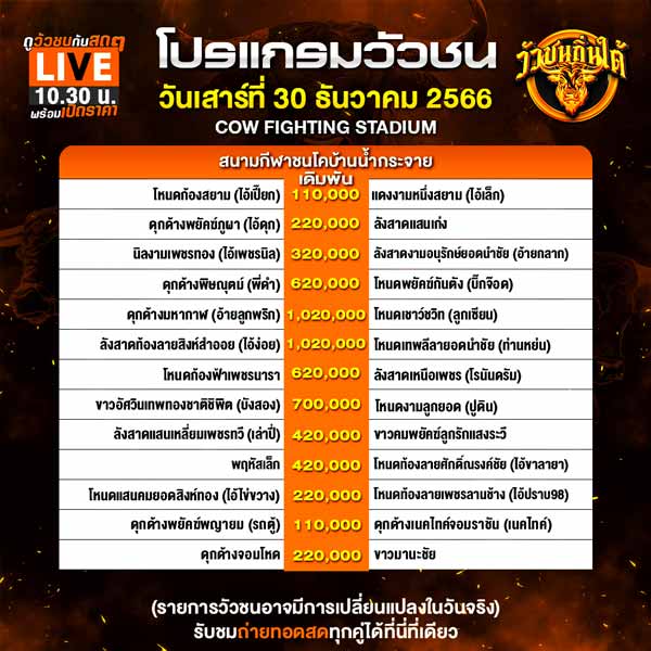 วัวชนวันนี้นานาชาติ